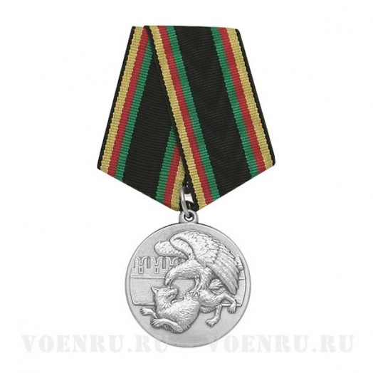 Медаль «Защитнику Отечества» #6