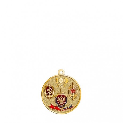Медаль «100 лет ФСБ России» #6