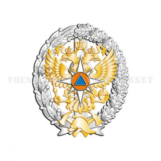 Знак «Об окончании Академии (Института) ГПС МЧС России»
