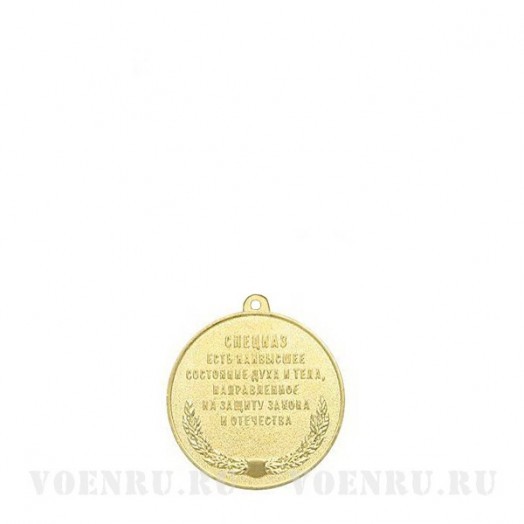 Медаль «За службу в Спецназе ВВ МВД»