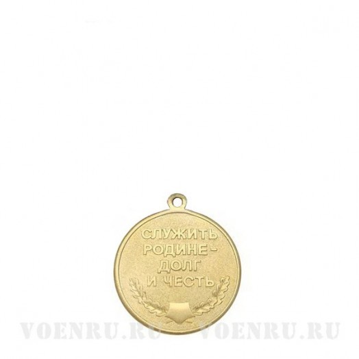 Медаль «Ветеран ВВС» (Самолёт)