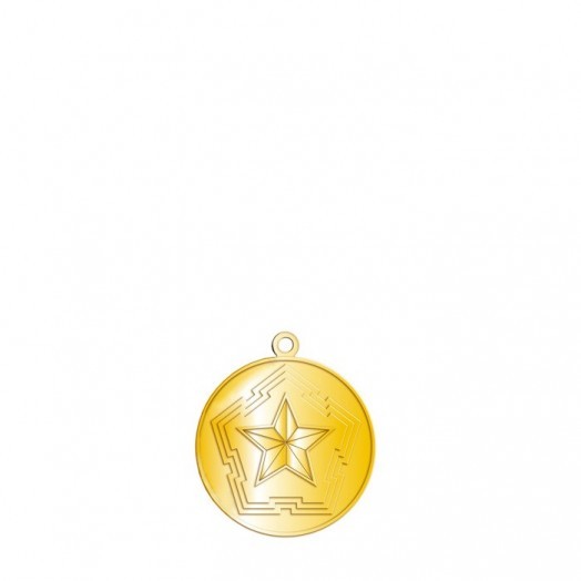Медаль «Ветеран Инженерных войск России» #2
