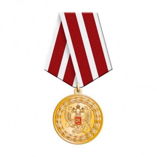 Медаль «За заслуги» (ФНС)