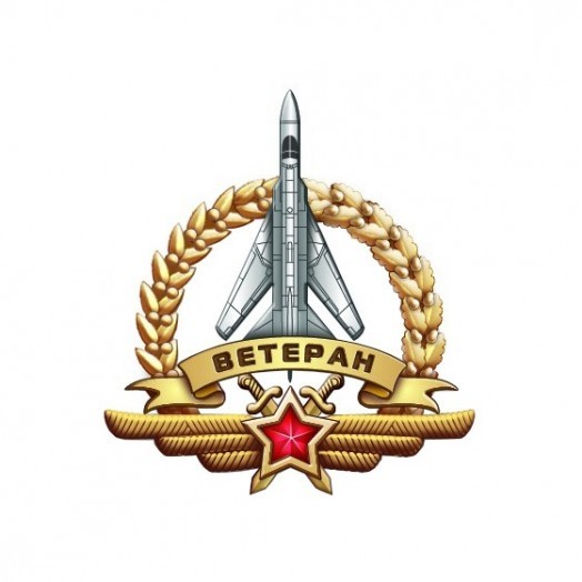 Знак «Летчик-ветеран ВВС России»