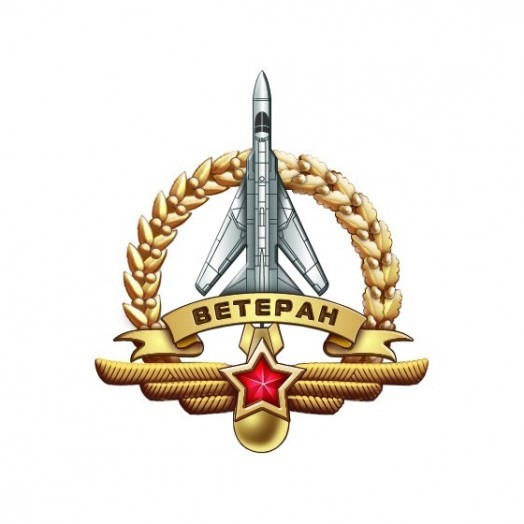 Знак «Ветеран штурманской службы ВВС России»