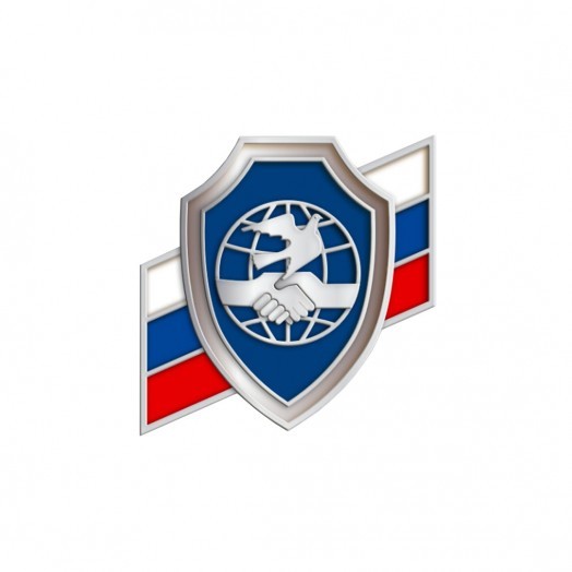 Значок «Ассоциация Ветеранов боевых действий ОВД и ВВ России»