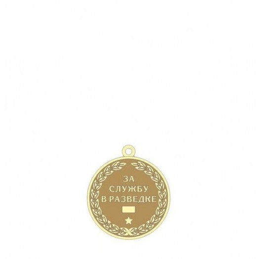 Медаль «За службу в Разведке»