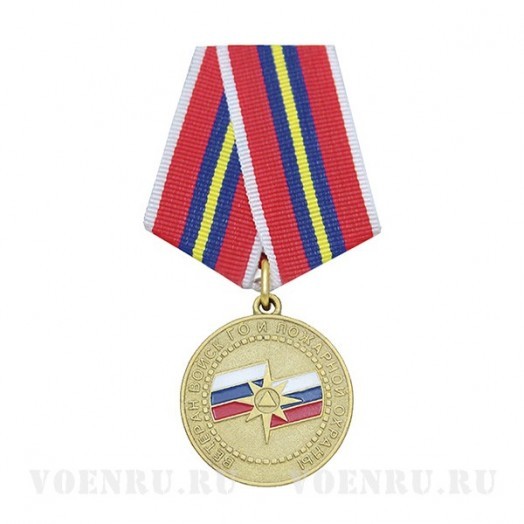 Медаль «Ветеран войск Гражданской обороны и Пожарной охраны»