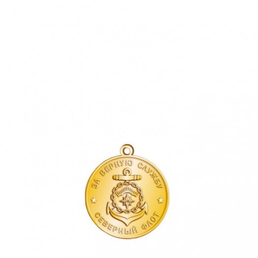 Медаль «За верную службу» (Северный флот)