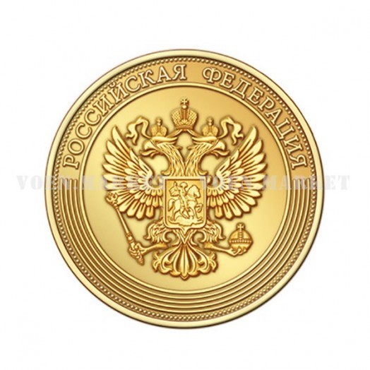 Медаль «За особые успехи в учении» (золотая, 2020 г.)