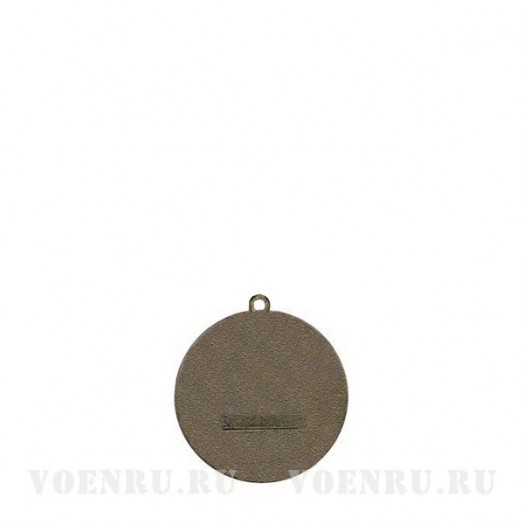 Медаль «Участник боевых действий на Северном Кавказе 1994-2004»