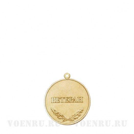 Медаль «Участник боевых действий на Северном Кавказе 1994-2009» (Ветеран)
