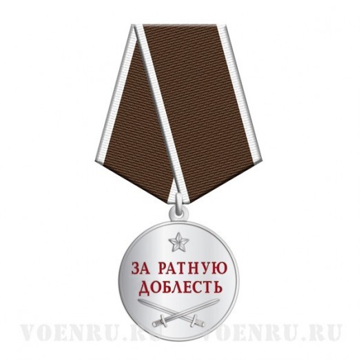 Медаль «За ратную доблесть»