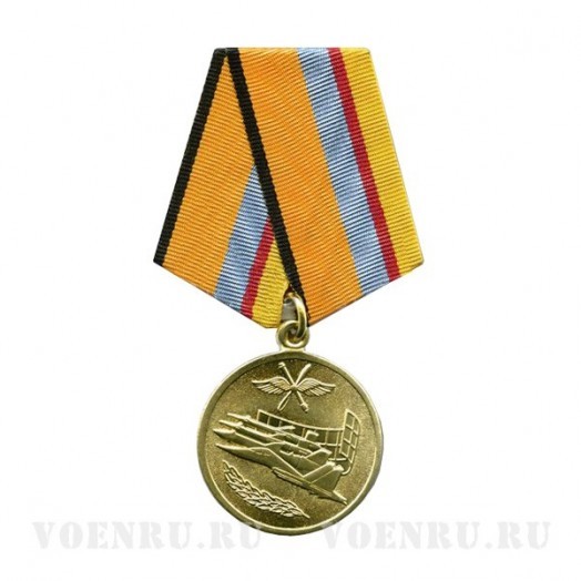 Медаль «За службу в ВВС»