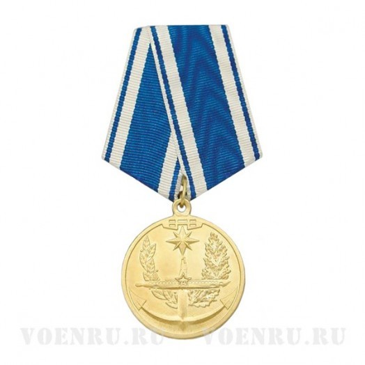 Медаль «За верность флоту» #2