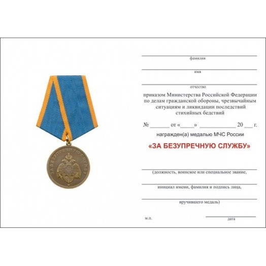 Медаль «За безупречную службу» (МЧС 2010 г.)
