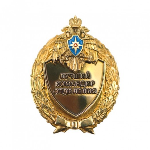 Знак «Лучший командир отделения»